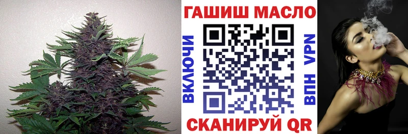 как найти   Инза  Дистиллят ТГК концентрат 